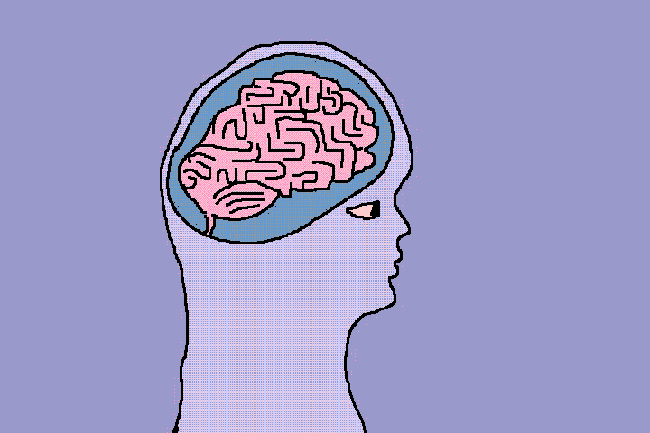 brain